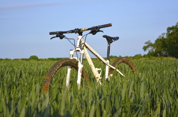 Free Photo of bike, bicycle, sport