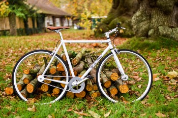 Free Photo of bike, bicycle, woods