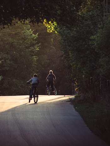 Free Photo of bikes, bicycles, cycling