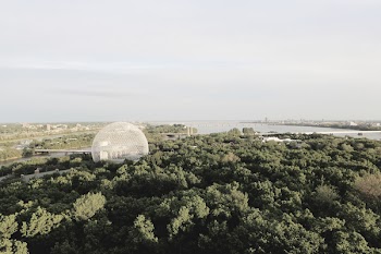 Free Photo of biosphere, landscape, trees