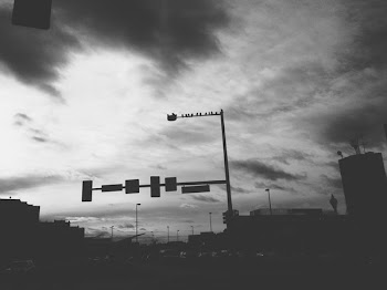 Free Photo of birds, urban, denver