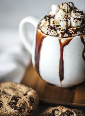 Free Photo of biscuit, chocolate chip, chocolate syrup