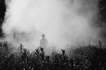 Free Photo of black and white, fog, cold