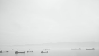 Free Photo of black and white, grey, sky