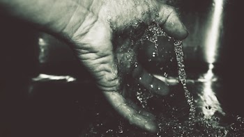 Free Photo of black and white, hand, fingers
