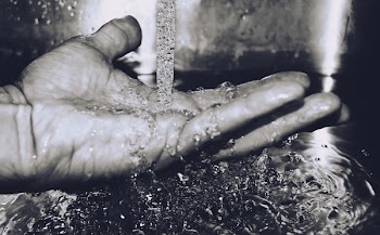 Free Photo of black and white, hand, fingers