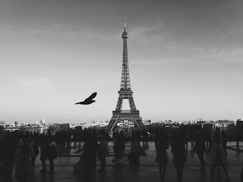 Free Photo of black and white, paris, france