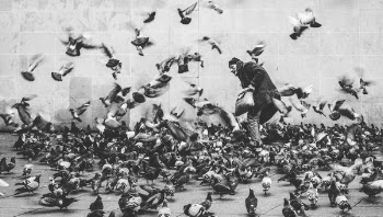 Free Photo of black and white, people, man