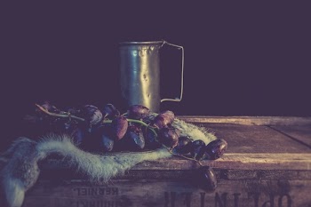Free Photo of black, grapes, fruit