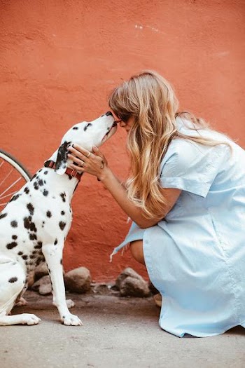 Free Photo of blonde, woman, dog