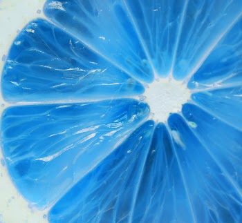 Free Photo of blue, citrus, dessert