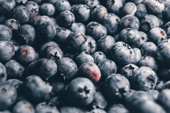 Free Photo of blueberries, berry, fruits