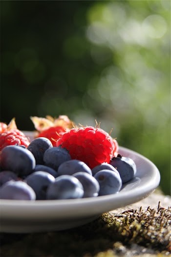 Free Photo of blueberries, raspberries, fruits