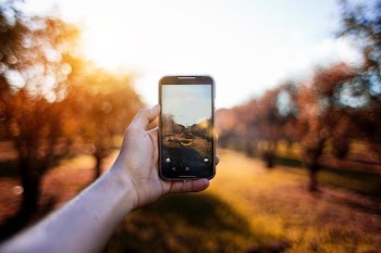 Free Photo of blur, bokeh, autumn