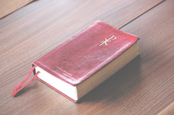 Free Photo of book, bible, old