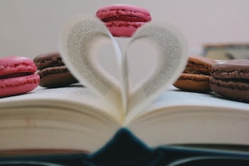 Free Photo of book, read, study