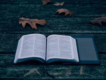 Free Photo of book, reading, ipad