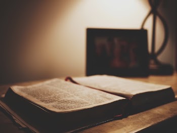 Free Photo of book, reading, learning