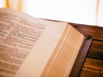 Free Photo of book, reading, study
