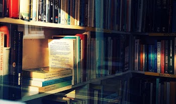Free Photo of books, bookshop, bookshelf