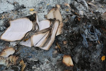 Free Photo of books, burnt, burning