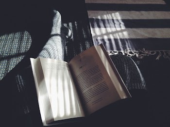 Free Photo of books, pages, read