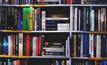 Free Photo of books, reading, bookshelf