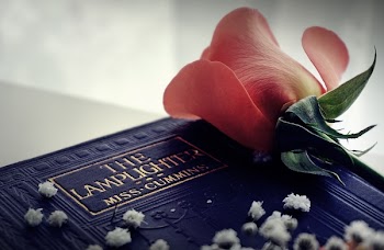 Free Photo of books, reading, novels