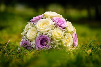 Free Photo of bouquet, flower, bunch