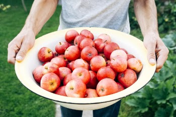 Free Photo of bowl, apples, fruits