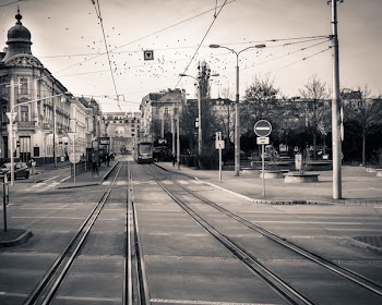 Free Photo of bratislava, lines, city