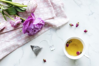 Free Photo of break, dried, drink