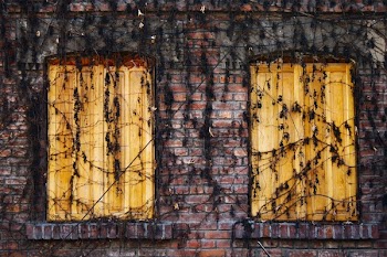 Free Photo of bricks, vines, wood