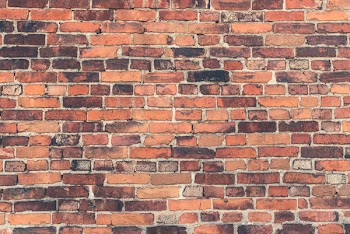 Free Photo of bricks, wall, texture