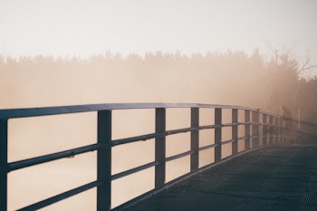 Free Photo of bridge, fog, foggy