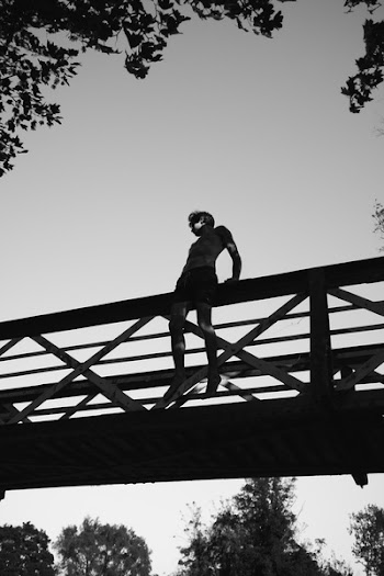Free Photo of bridge, infrastructure, trees