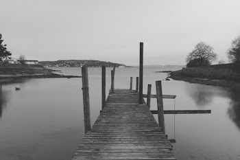 Free Photo of Bridge, jetty, pier
