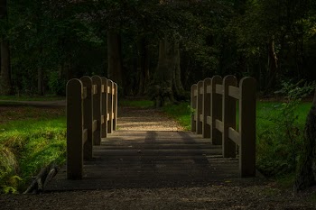 Free Photo of Bridge, park, autum