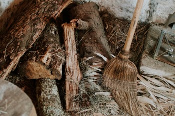 Free Photo of broom, trunk, log