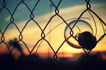 Free Photo of bulb, light, sunset