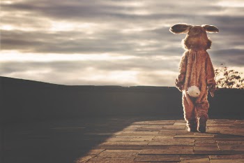 Free Photo of bunny, rabbit, costume
