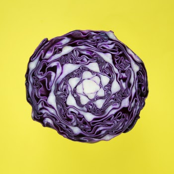 Free Photo of cabbage, head, round