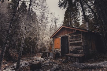 Free Photo of cabin, woods, abandoned