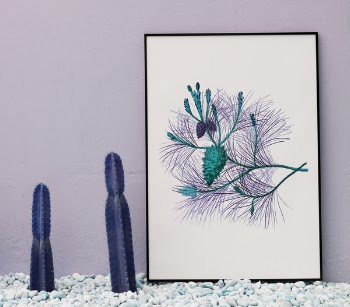 Free Photo of cactus, decor, frame