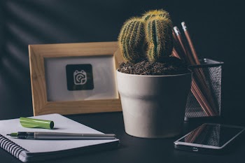 Free Photo of cactus, office, desk