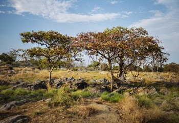 Free Photo of calm, destination, expedition