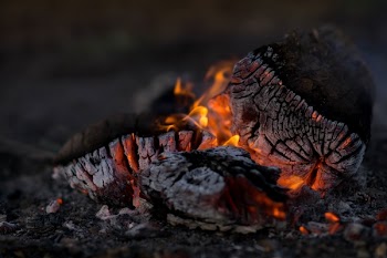 Free Photo of camp, fire, campfire