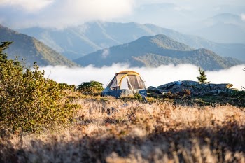 Free Photo of camp, tent, grass