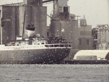 Free Photo of cargo, harbor, harbour