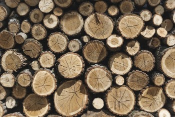 Free Photo of carpenter, logging, lumber
